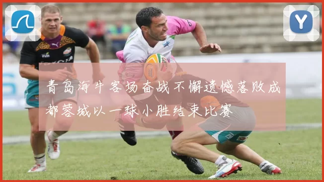 青岛海牛客场奋战不懈遗憾落败成都蓉城以一球小胜结束比赛