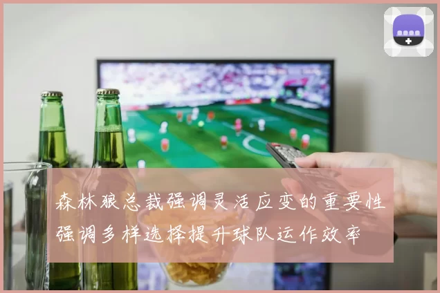 森林狼总裁强调灵活应变的重要性强调多样选择提升球队运作效率