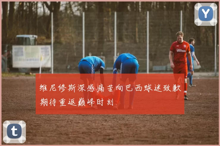 维尼修斯深感痛苦向巴西球迷致歉期待重返巅峰时刻